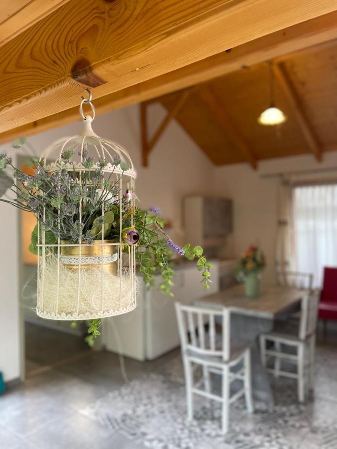Ibolya Apartman Csisztapuszta Kültér fotó